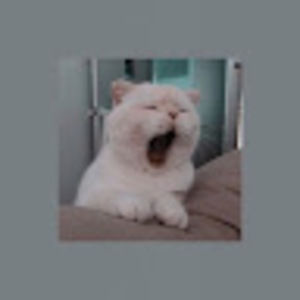 Meet your Posher, Aishah